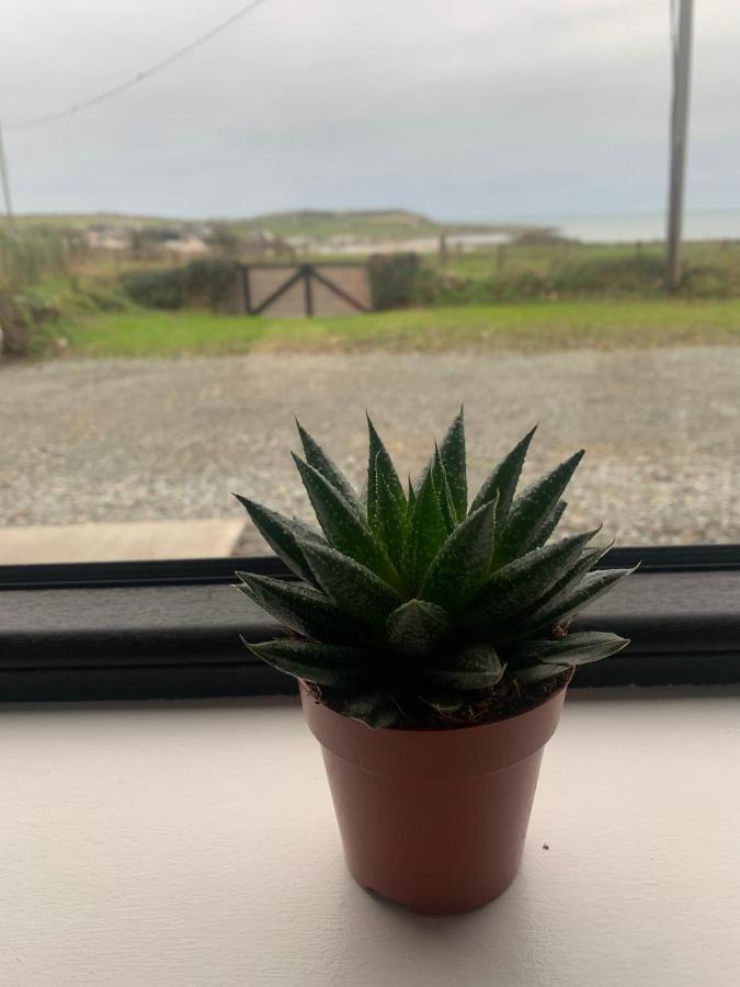 Rockwood Lodge 德罗赫达 外观 照片